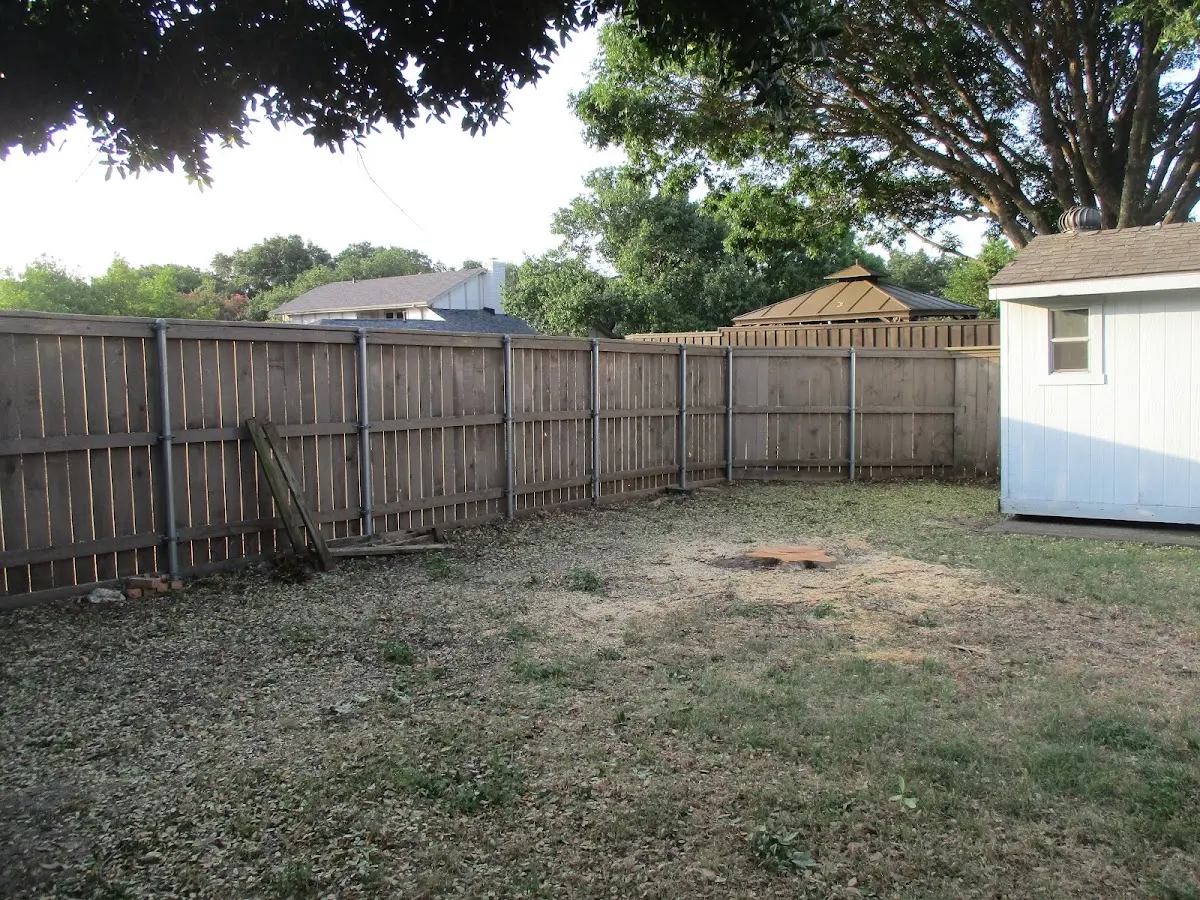 Cleared yard after professional tree removal in Del Rio
